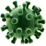 Green spherical virus structure with protrusions, illustrating water-borne viruses related to health and safety in plumbing.